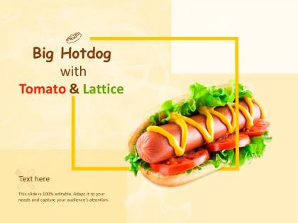 Big hot dog with tomato and lattice