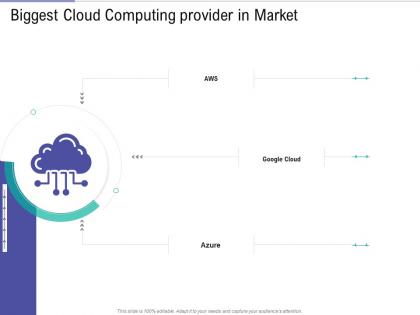 Biggest cloud computing provider in market public vs private vs hybrid vs community cloud computing