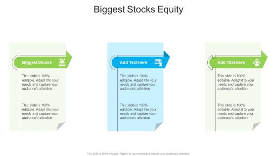 Biggest Stocks Equity In Powerpoint And Google Slides Cpb