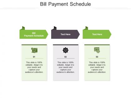 Bill payment schedule ppt powerpoint presentation summary gridlines cpb