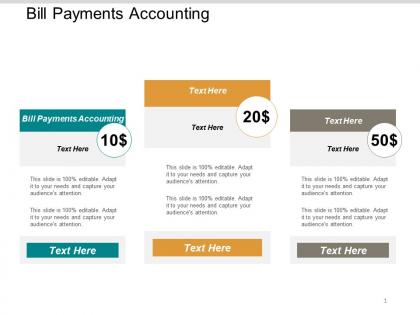 Bill payments accounting ppt powerpoint presentation gallery examples cpb