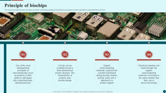 Biochips Applications Principle Of Biochips Ppt Powerpoint Presentation Infographic Template Mockup