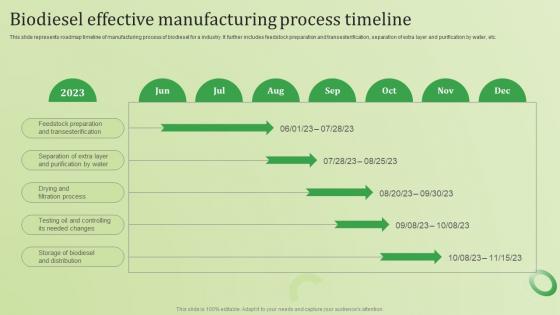 Biodiesel Effective Manufacturing Process Timeline