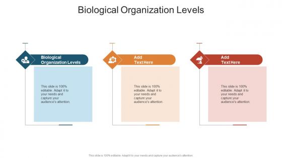Biological Organization Levels In Powerpoint And Google Slides Cpb
