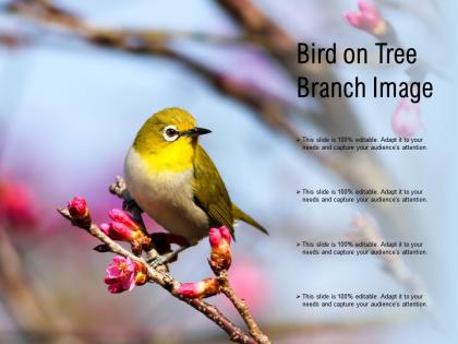 Bird on tree branch image