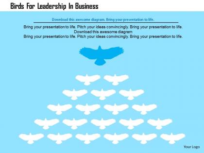 Birds for leadership in business flat powerpoint design
