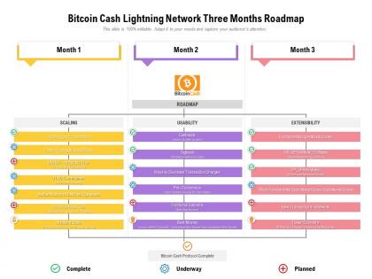 Bitcoin cash lightning network three months roadmap