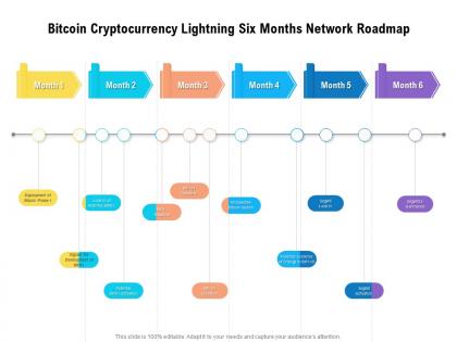 Bitcoin cryptocurrency lightning six months network roadmap