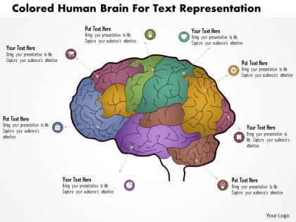 Bk colored human brain for text repesentation powerpoint template