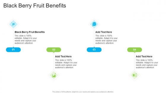Black Berry Fruit Benefits In Powerpoint And Google Slides Cpb