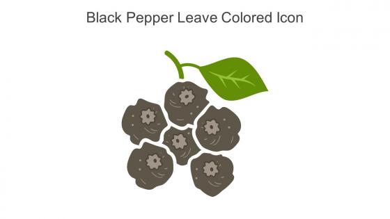 Black Pepper Leave Colored Icon In Powerpoint Pptx Png And Editable Eps Format
