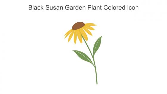 Black Susan Garden Plant Colored Icon In Powerpoint Pptx Png And Editable Eps Format