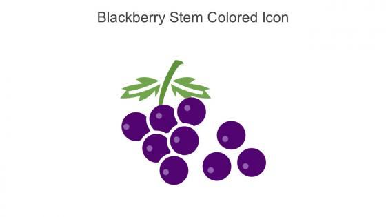 Blackberry Stem Colored Icon In Powerpoint Pptx Png And Editable Eps Format