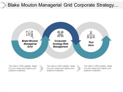Blake mouton managerial grid corporate strategy risk management cpb
