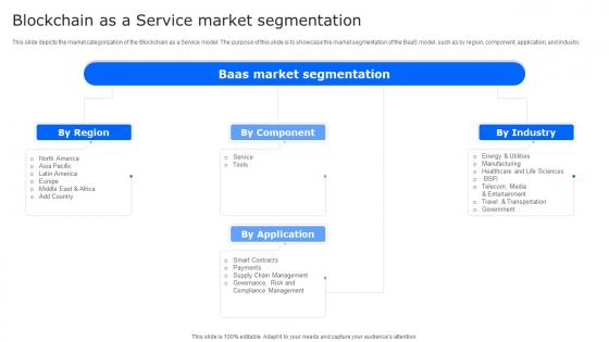 Blockchain As A Service Market Segmentation Ppt Professional Designs