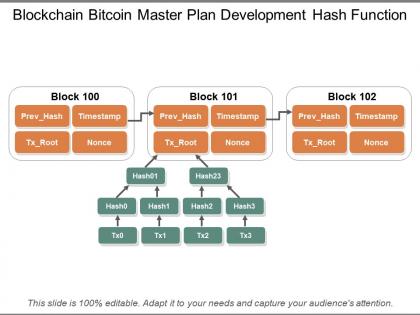 Blockchain bitcoin master plan development hash function