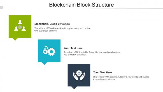 Blockchain Block Structure Ppt Powerpoint Presentation Show Example Cpb