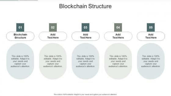 Blockchain Structure In Powerpoint And Google Slides Cpb