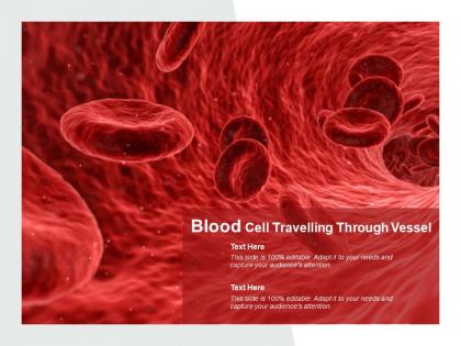 Blood cell travelling through vessel