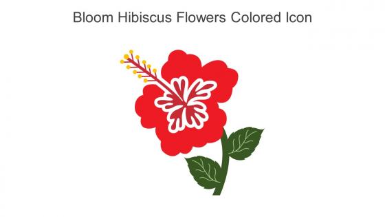 Bloom Hibiscus Flowers Colored Icon In Powerpoint Pptx Png And Editable Eps Format