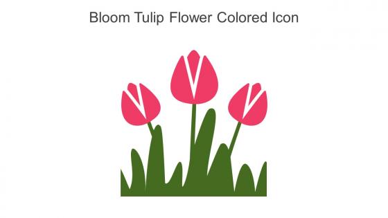 Bloom Tulip Flower Colored Icon In Powerpoint Pptx Png And Editable Eps Format