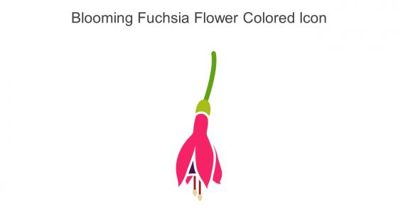 Blooming Fuchsia Flower Colored Icon In Powerpoint Pptx Png And Editable Eps Format