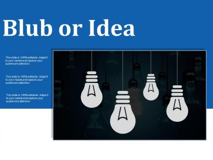 Blub or idea ppt summary designs download