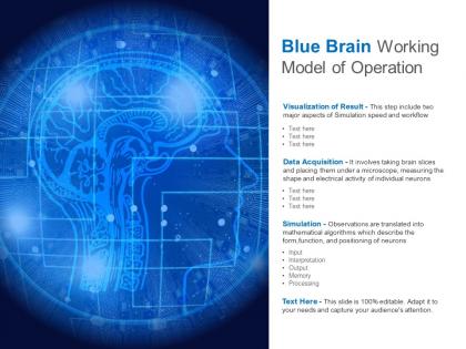 Blue brain working model of operation