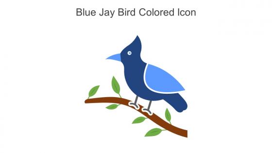 Blue Jay Bird Colored Icon In Powerpoint Pptx Png And Editable Eps Format