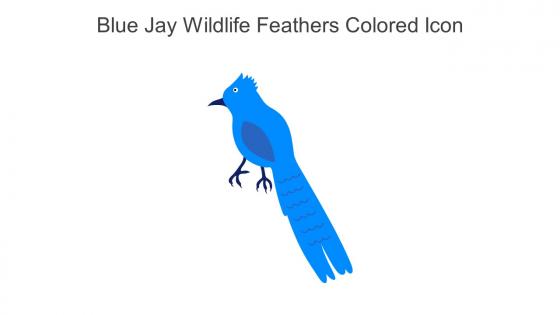 Blue Jay Wildlife Feathers Colored Icon In Powerpoint Pptx Png And Editable Eps Format