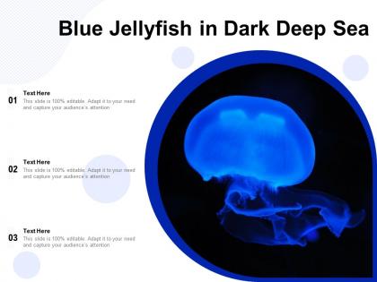 Blue jellyfish in dark deep sea