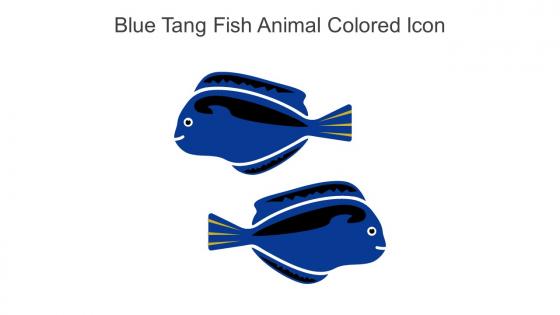 Blue Tang Fish Animal Colored Icon In Powerpoint Pptx Png And Editable Eps Format