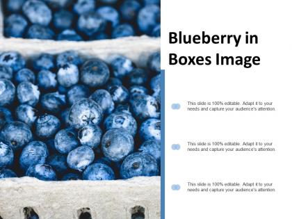 Blueberry in boxes image