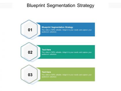 Blueprint segmentation strategy ppt powerpoint presentation inspiration icon cpb