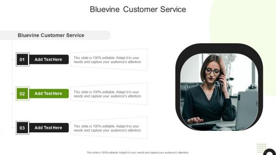 Bluevine Customer Service In Powerpoint And Google Slides Cpb