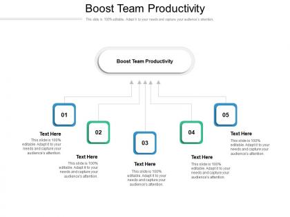 Boost team productivity ppt powerpoint presentation infographics portfolio cpb