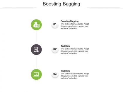 Boosting bagging ppt powerpoint presentation portfolio format cpb