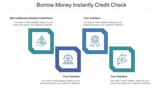 Borrow Money Instantly Credit Check Ppt Powerpoint Presentation Outline Format Cpb