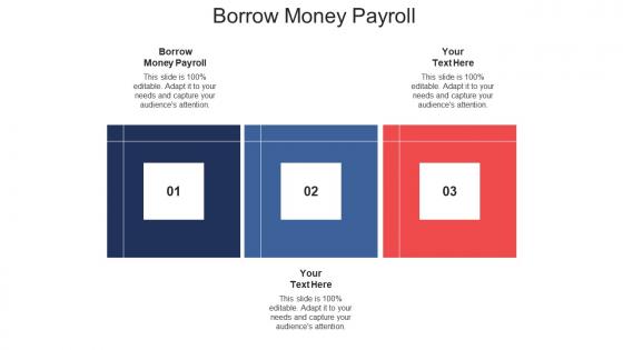 Borrow money payroll ppt powerpoint presentation outline maker cpb