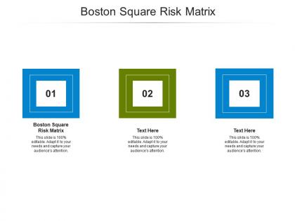 Boston square risk matrix ppt powerpoint presentation graphics cpb