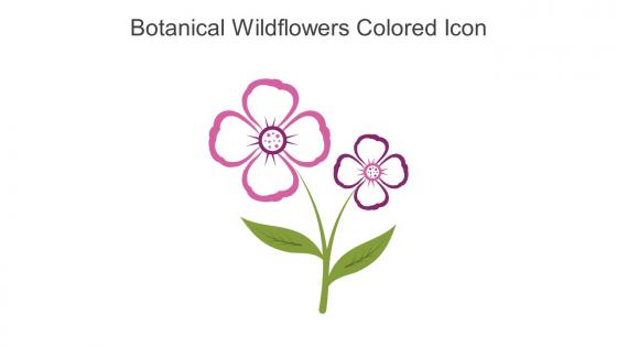 Botanical Wildflowers Colored Icon In Powerpoint Pptx Png And Editable Eps Format