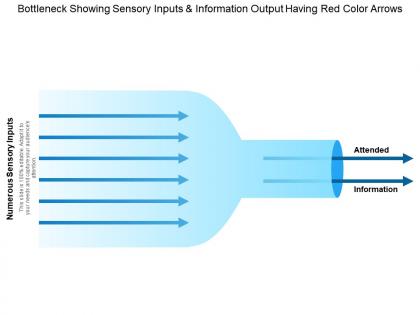Bottleneck showing sensory inputs and information output having red color arrows