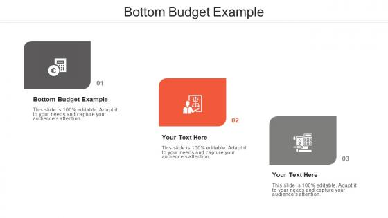 Bottom budget example ppt powerpoint presentation diagram graph charts cpb