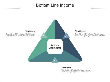 Bottom line income ppt powerpoint presentation file infographic template cpb