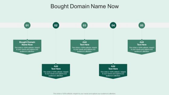 Bought Domain Name Now In Powerpoint And Google Slides Cpb