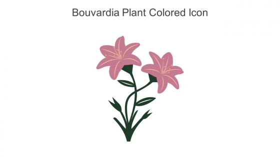 Bouvardia Plant Colored Icon In Powerpoint Pptx Png And Editable Eps Format
