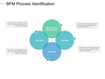 Bpm process identification ppt powerpoint presentation outline elements cpb