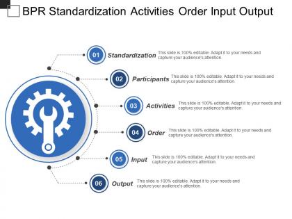 Bpr standardization activities order input output