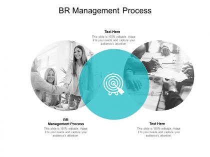 Br management process ppt powerpoint presentation outline brochure cpb