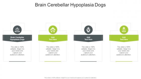 Brain Cerebellar Hypoplasia Dogs In Powerpoint And Google Slides Cpb